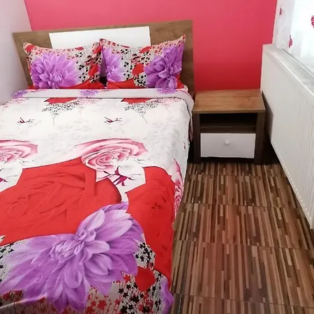 Balu Apartament 2 Dormitoare Apartment Brasov